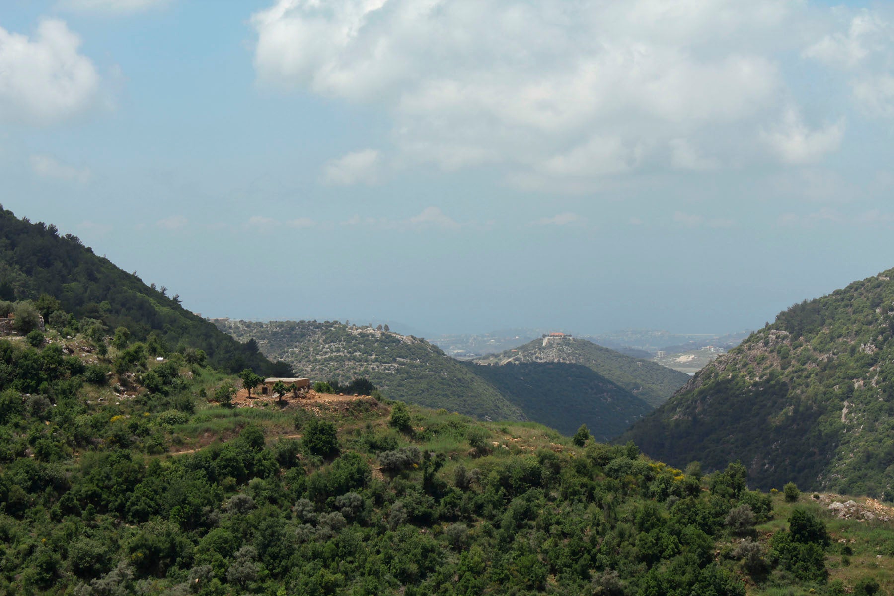 Shababik