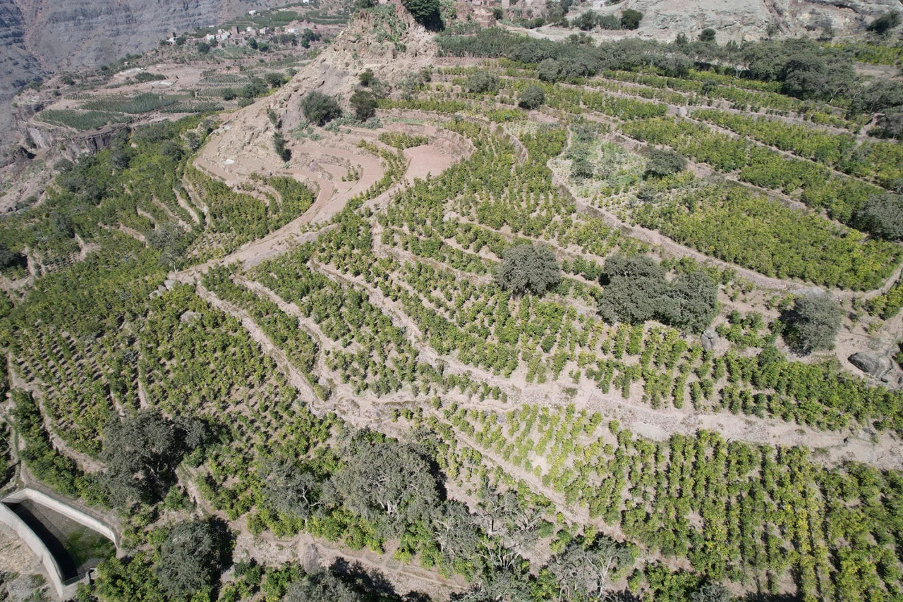 Shababik